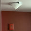 Glass corn ceiling lamp vintage
