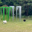 De Van Esch Chase rack